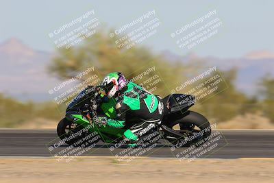 media/Nov-12-2023-SoCal Trackdays (Sun) [[5d1fba4e7d]]/Turn 3 Inside Speed Pans (135pm)/